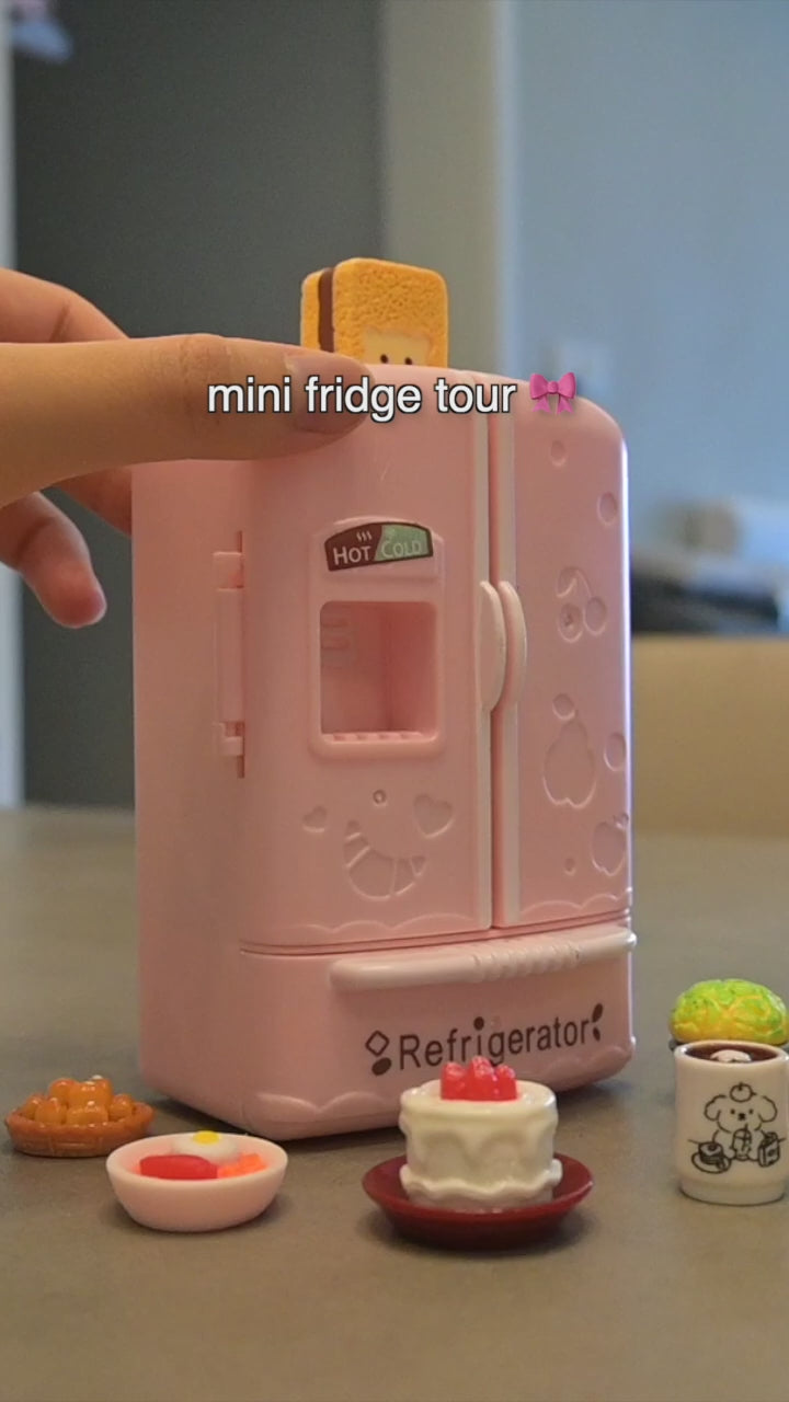 Miniature Fridge + 20 Mini Foods